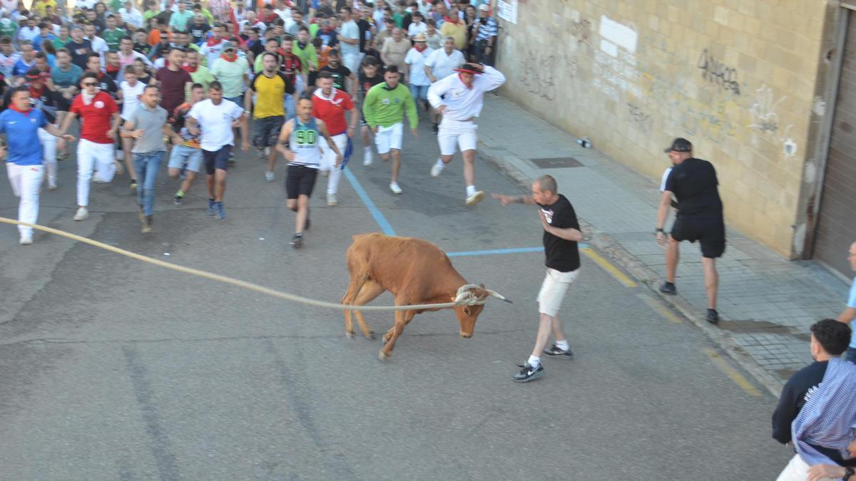 Así ha sido la carrera del Torito del Alba "Ganadora" de Benavente