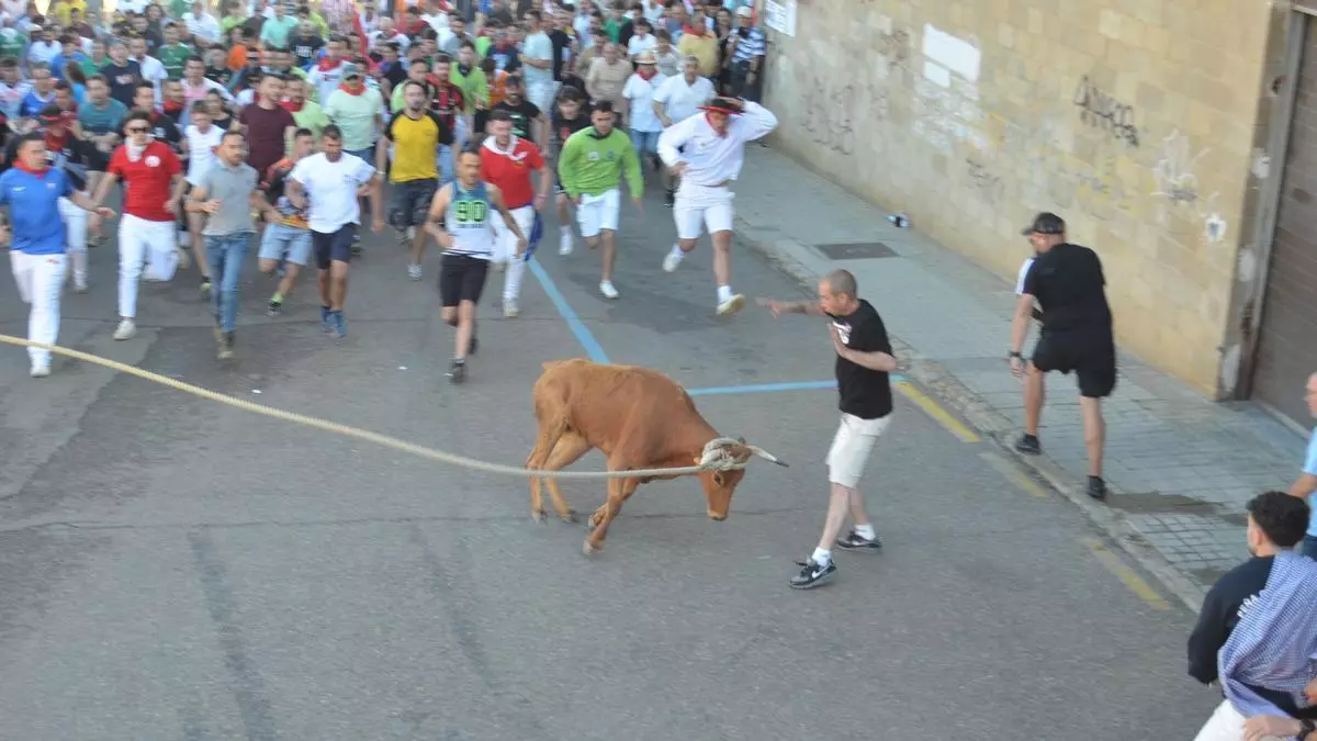 Así ha sido la carrera del Torito del Alba "Ganadora" de Benavente
