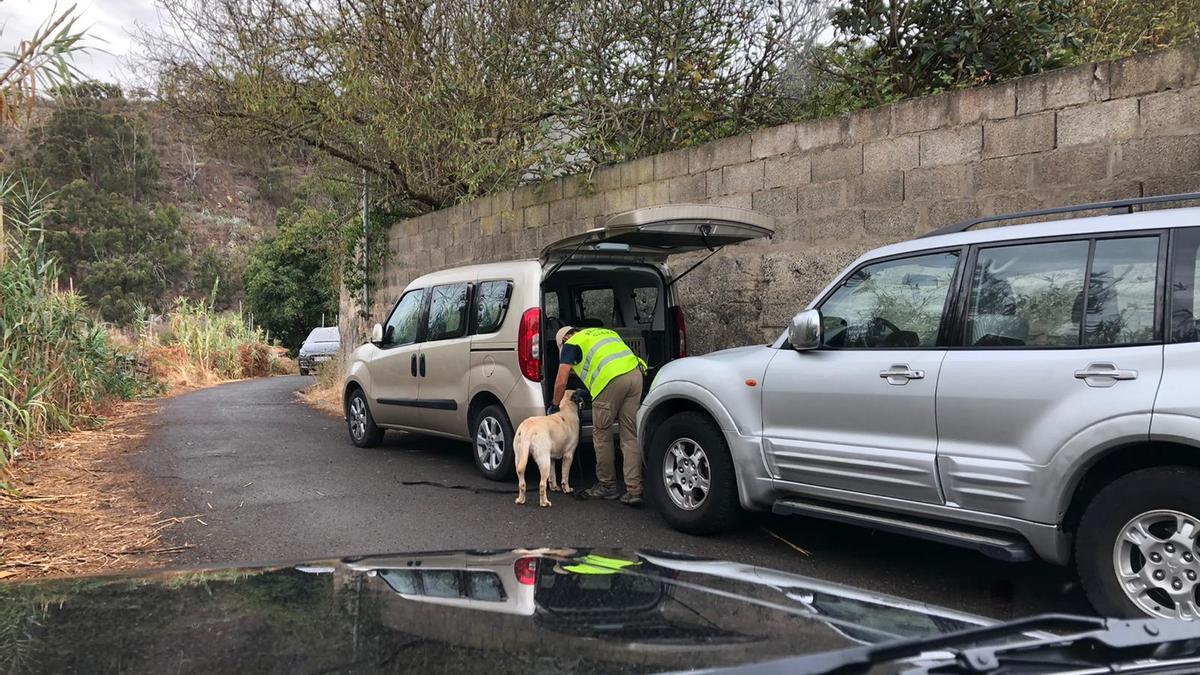 Búsqueda del taxista desaparecido en Teror