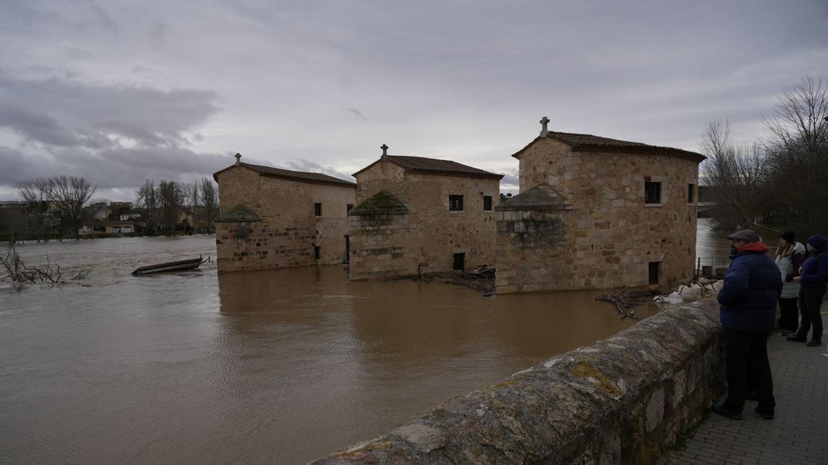 El Duero entra en fincas de las afueras de Zamora y sigue en nivel rojo en Toro, con el caudal que continúa en ascenso