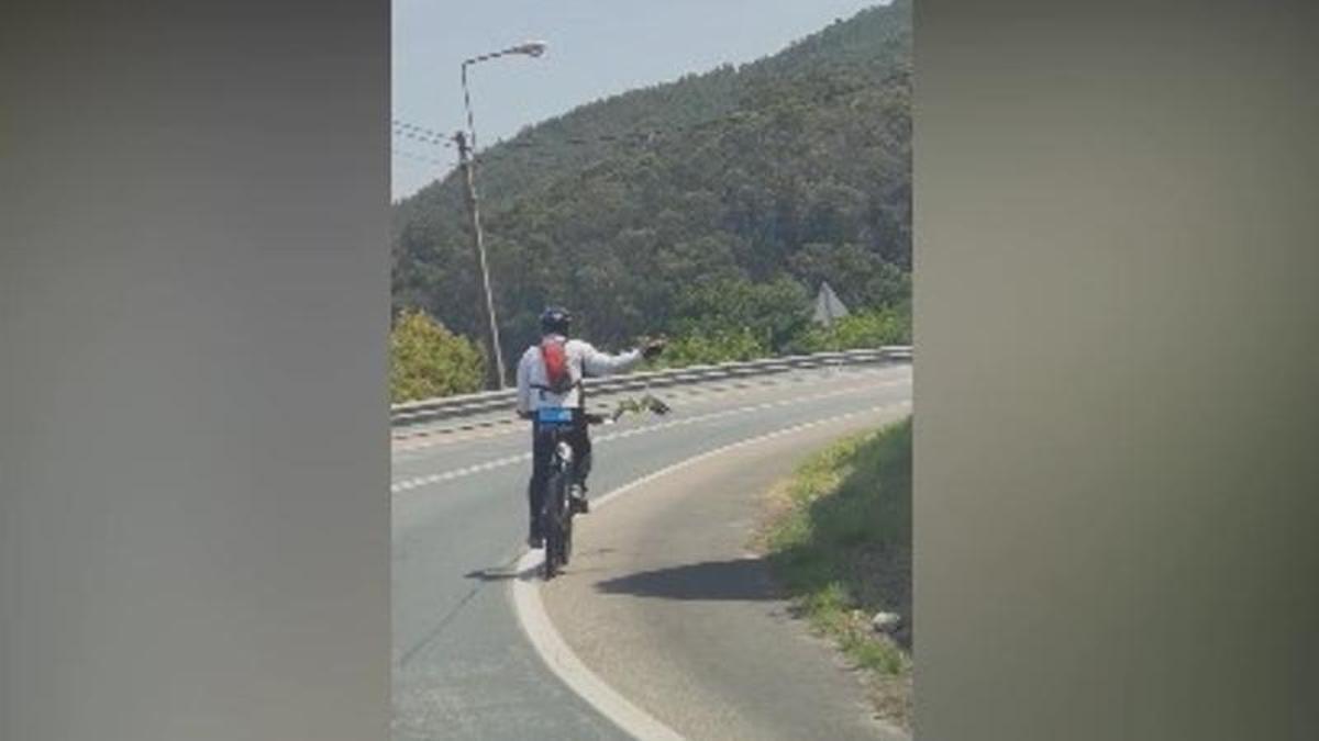 El ciclista, de ruta con su loro volando atado a una correa.