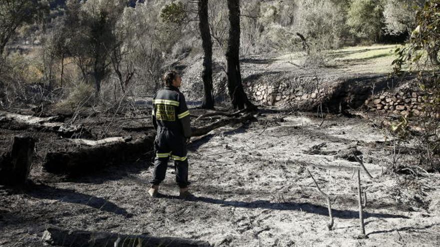 Un técnico de los bomberos inspecciona una zona de posible origen del incendio forestal que desde las 19,30h de ayer lunes se mantenía activo en una zona de menor valor ecológico en el Parque Natural de La Sierra de Espadán, en los términos de Azuebar y Almedijar y que esta mañana se ha dado por controlado.