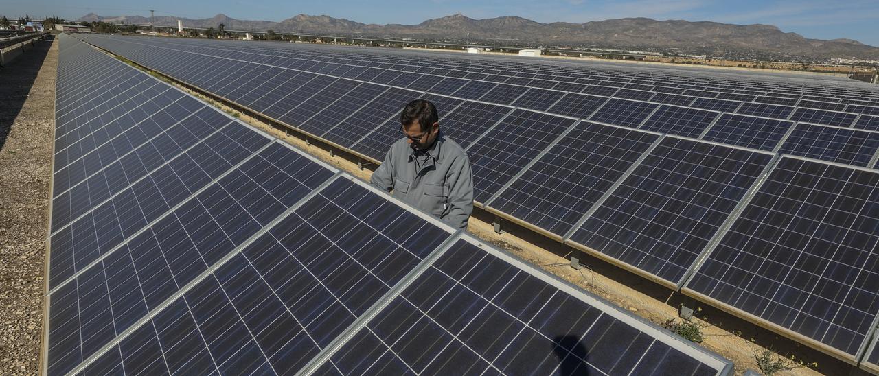 Un técnico supervisa la instalación de una planta de energía solar.