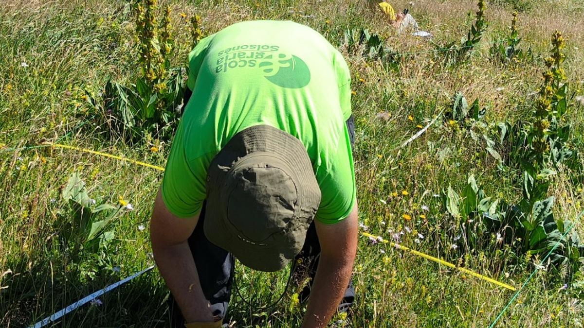 Un tècnic treballa en el projecte
