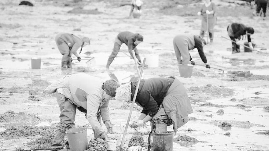 Las mariscadoras de a pie ya tienen el calendario de trabajo para el mes que viene. // Muñiz