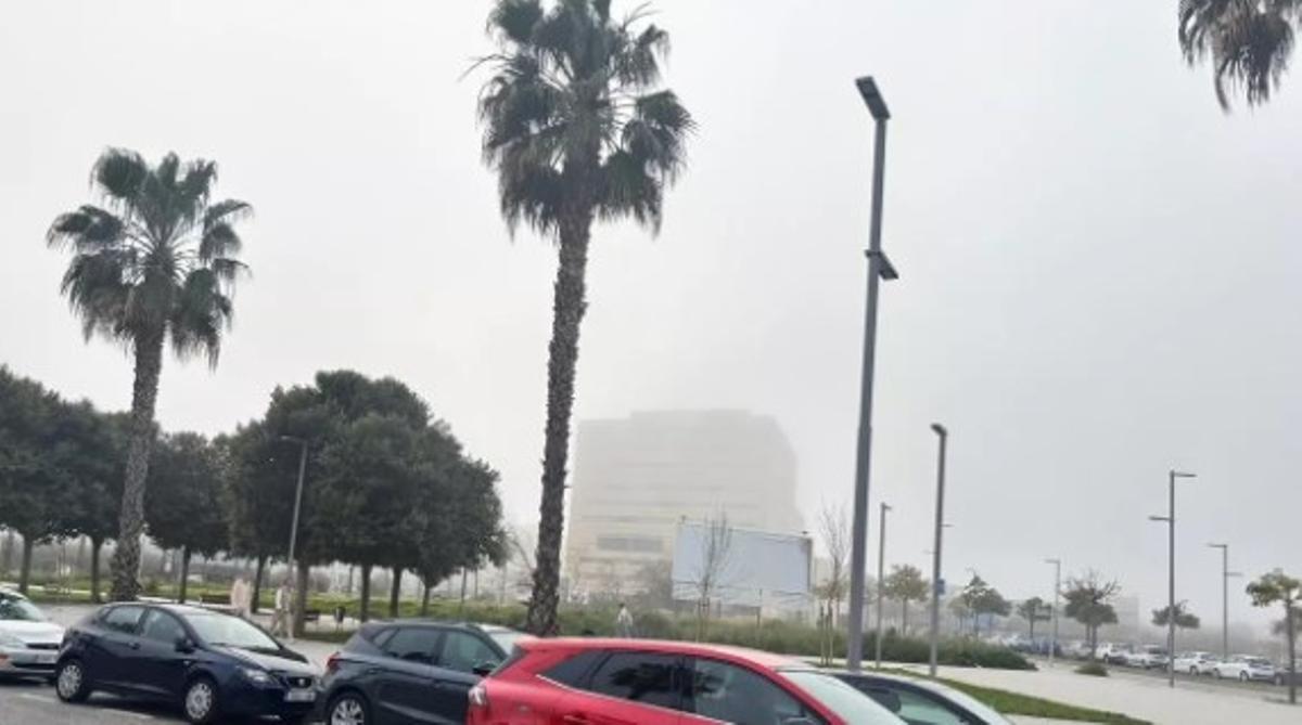 Eine dichte Nebelwand lag am Dienstagmorgen über Palma.