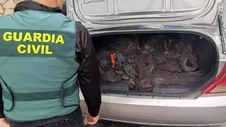 Tres detenidos por robar 205 kilos de cable de cobre de la línea telefónica de Encinas Reales