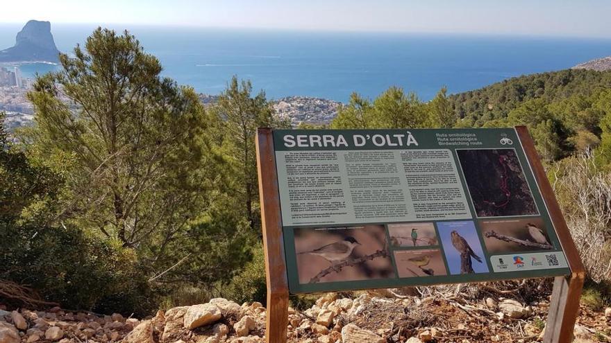 Calp da alas al turismo ornitológico