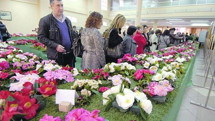 Enamorados de las camelias - La Nueva España