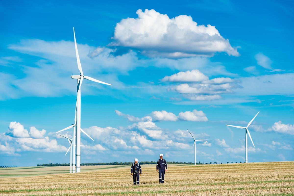 Solo un 36% de las firmas con sede en España aseguran haber puesto en marcha iniciativas para combatir el cambio climático.