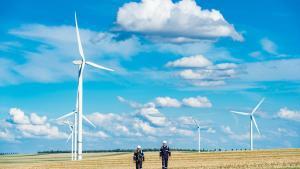 Solo un 36% de las firmas con sede en España aseguran haber puesto en marcha iniciativas para combatir el cambio climático.