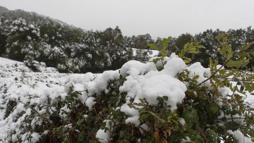 Nieve en Rodeiro (archivo). // Berrnabé / Ana Agra