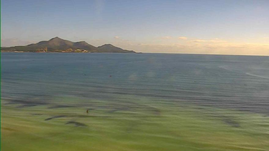 Playa de Muro am Freitagmorgen.