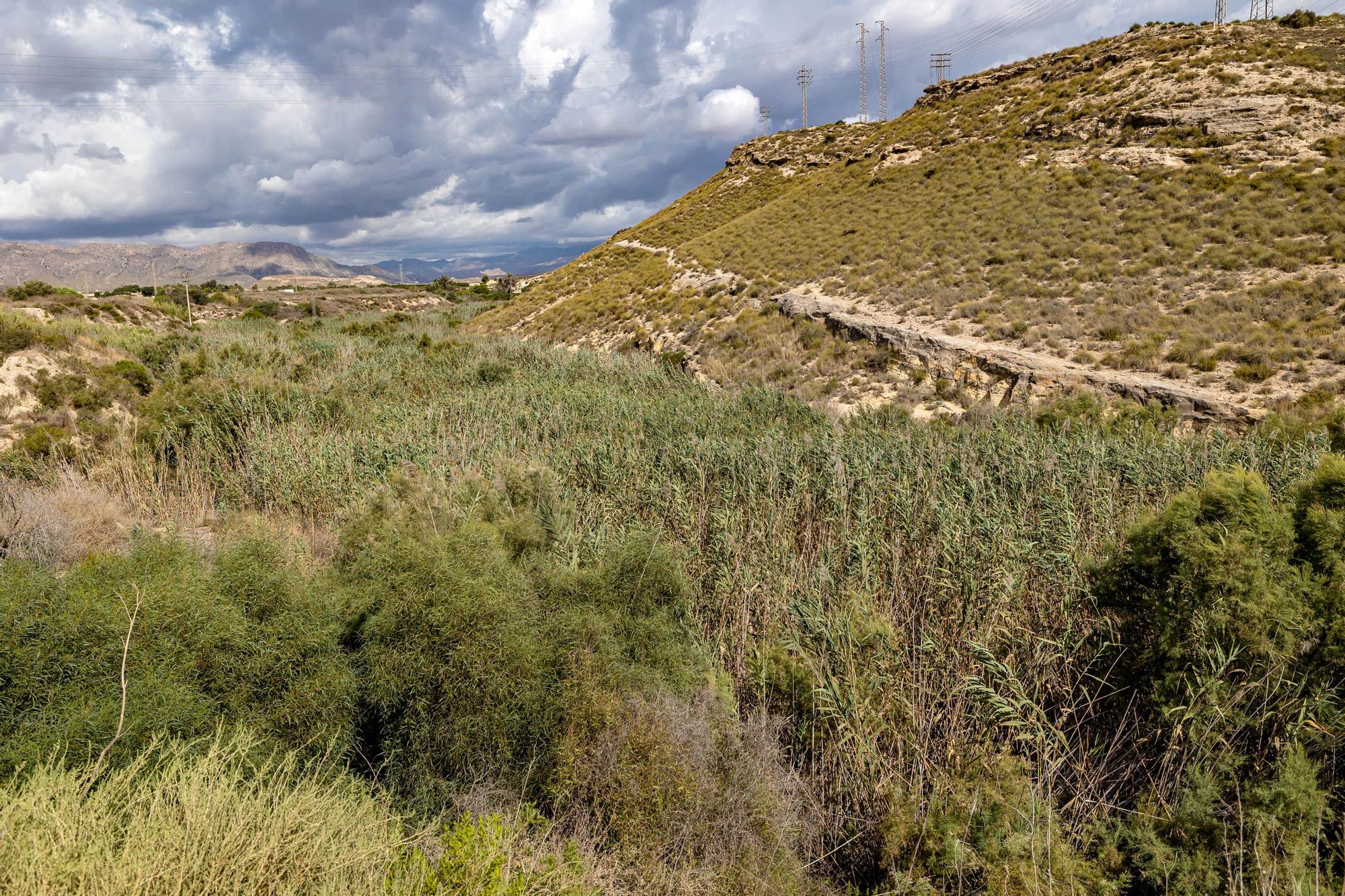 Estado de los barrancos de la ciudad de Alicante de cara a las próximas lluvias