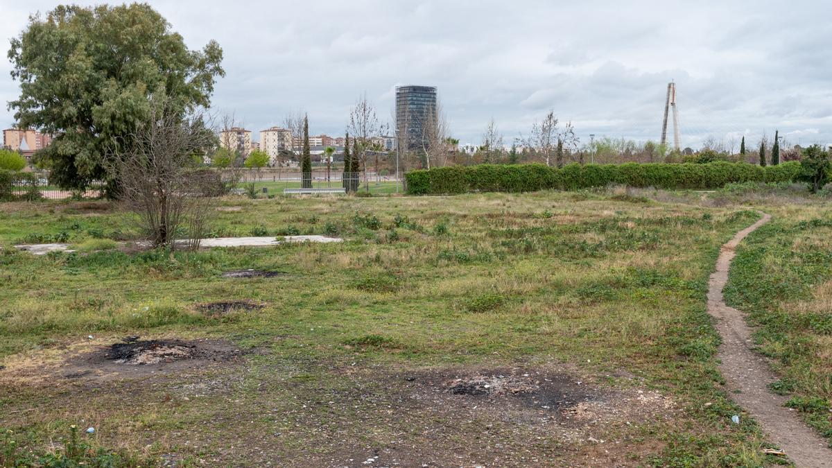 Terrenos donde se ubicarán los nuevos huertos urbano en Las Moreras.