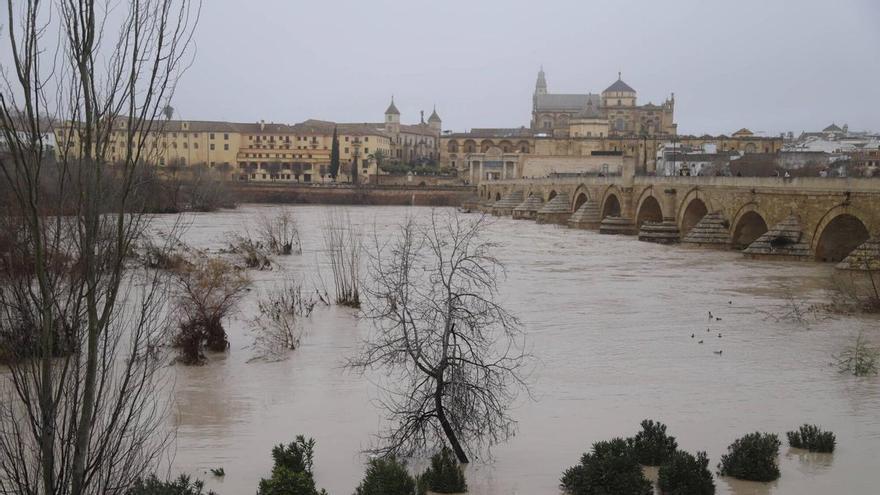 El Pleno de Córdoba pide a la CHG que reconsidere su negativ