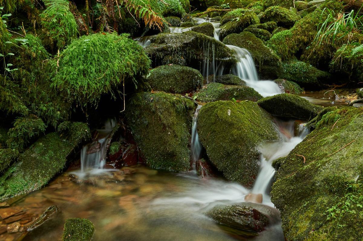 Río Salgueira cayendo entre las piedras