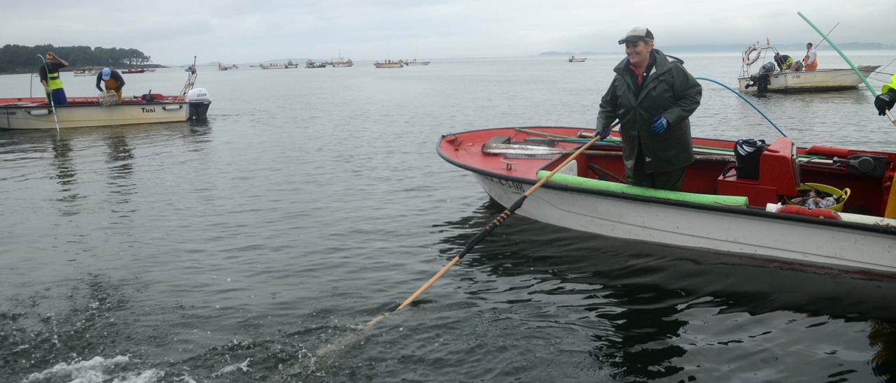 Mariscadores de a flote en Os Lombos do Ulla.