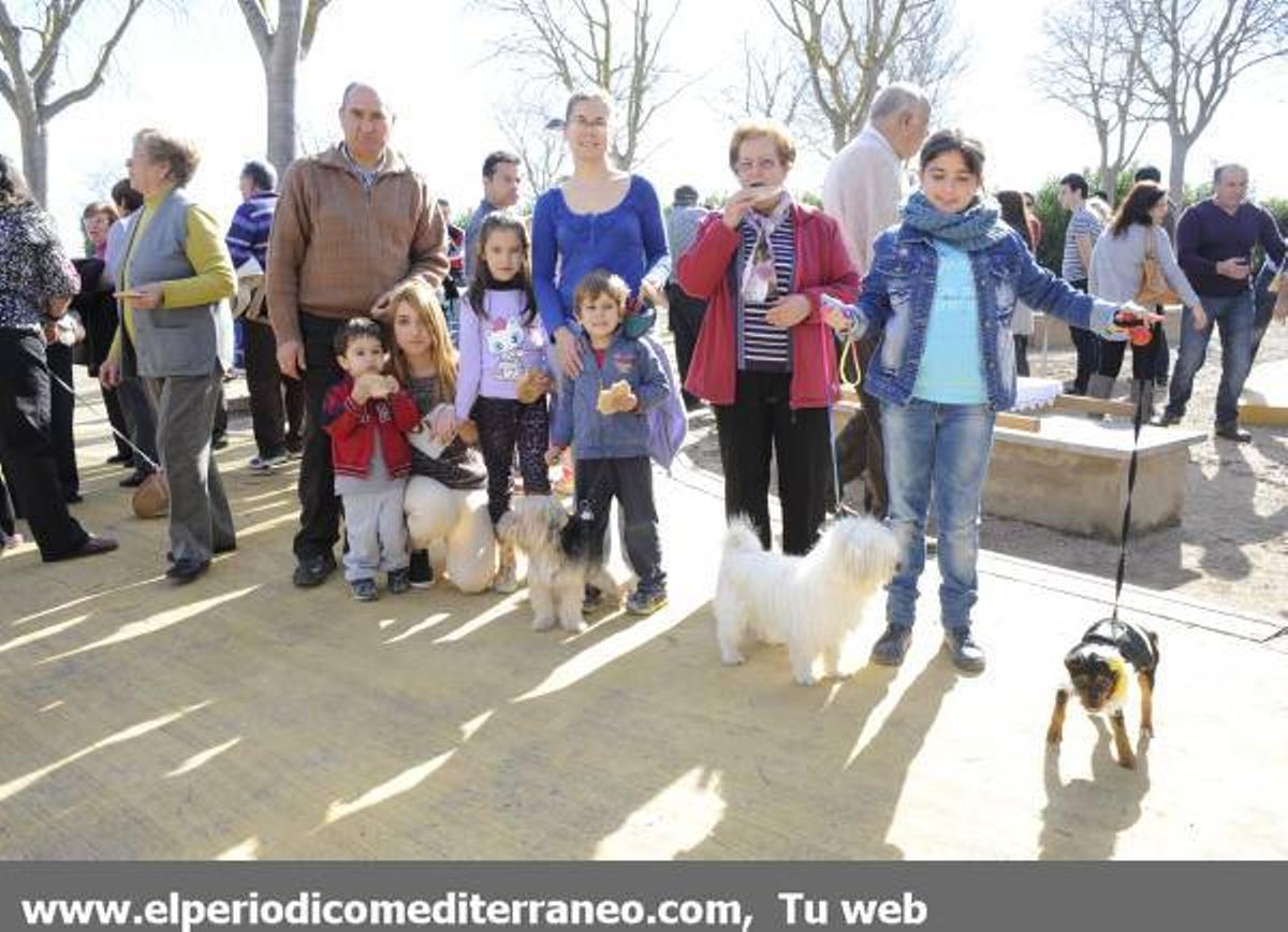 GALERÍA FOTOS: Castellón celebra Sant Antoni