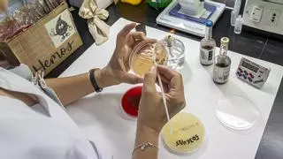 La sepsis es la primera causa de mortalidad en hospitales