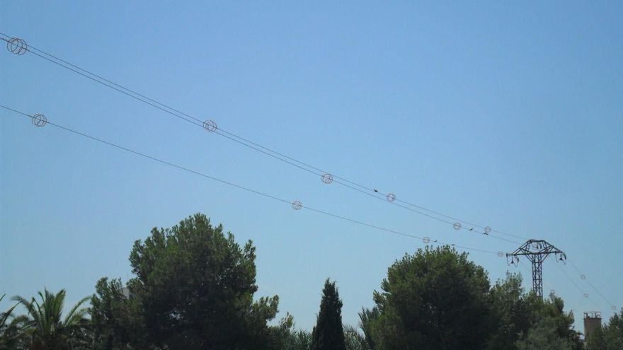 La Comunidad inicia el proceso para evitar que las aves se electrocuten en las líneas eléctricas