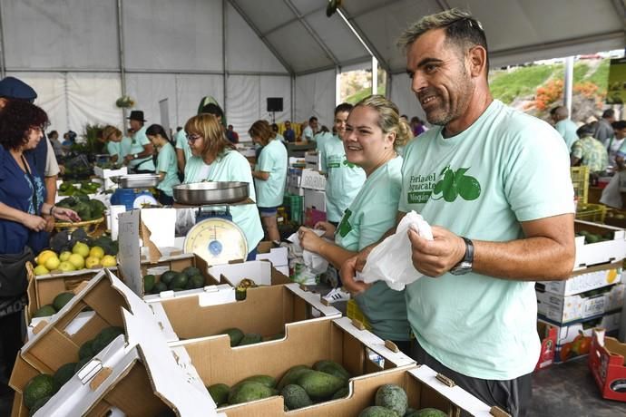 III FERIA DEL AGUACATE