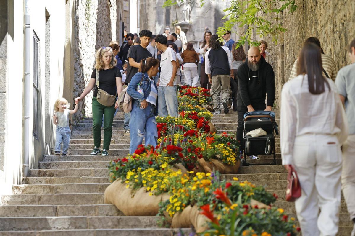 Les imatges de l'últim dissabte de Temps de Flors 2026