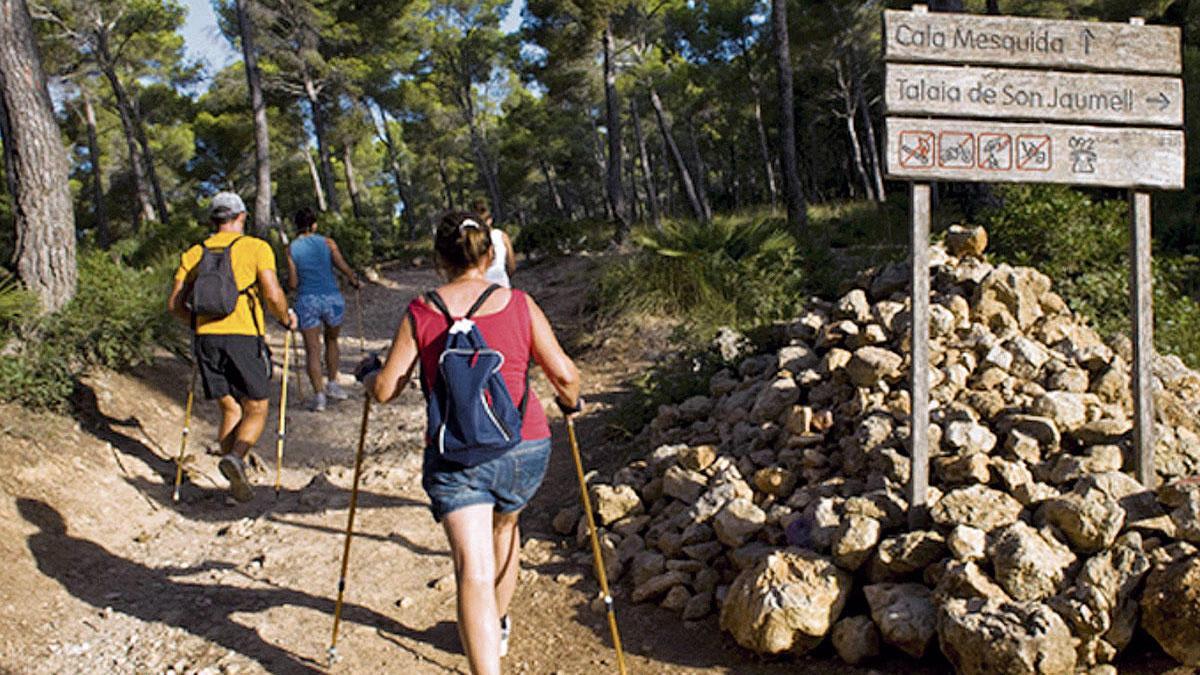 Objekt von Wissenschaftlern: Wandertouristen im Wald zwischen Cala Ratjada und Cala Mesquida