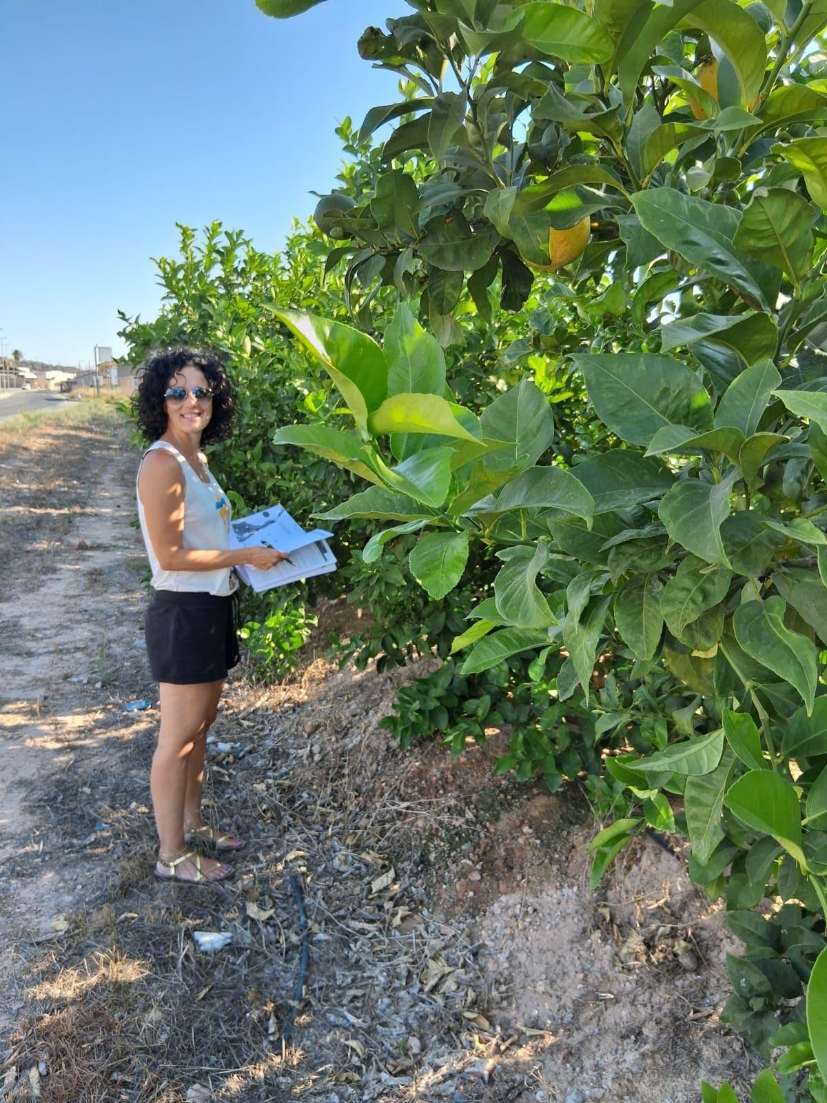 Técnico llevando a cabo labores de calidad y certificación en una finca agrícola.