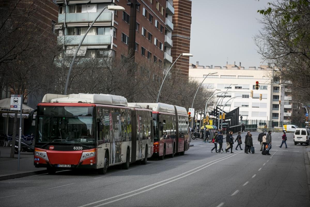 Dos autobuses en la parada de calle Sao Paulo.