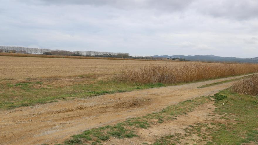 La zona de camps de Torroella on es va trobar la dona assassinada