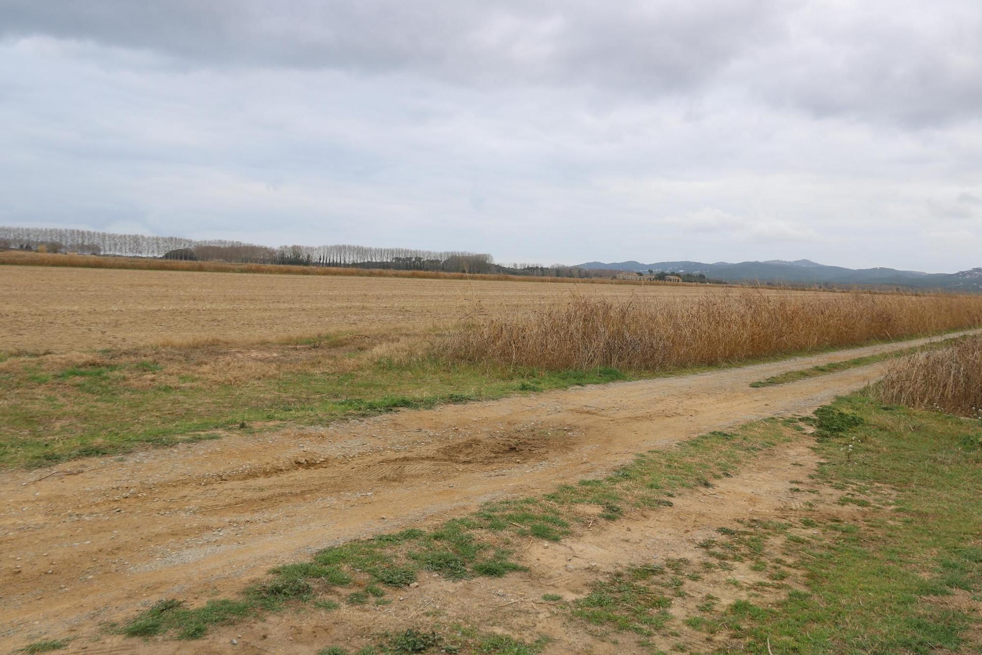 La zona de camps de Torroella on es va trobar la dona assassinada