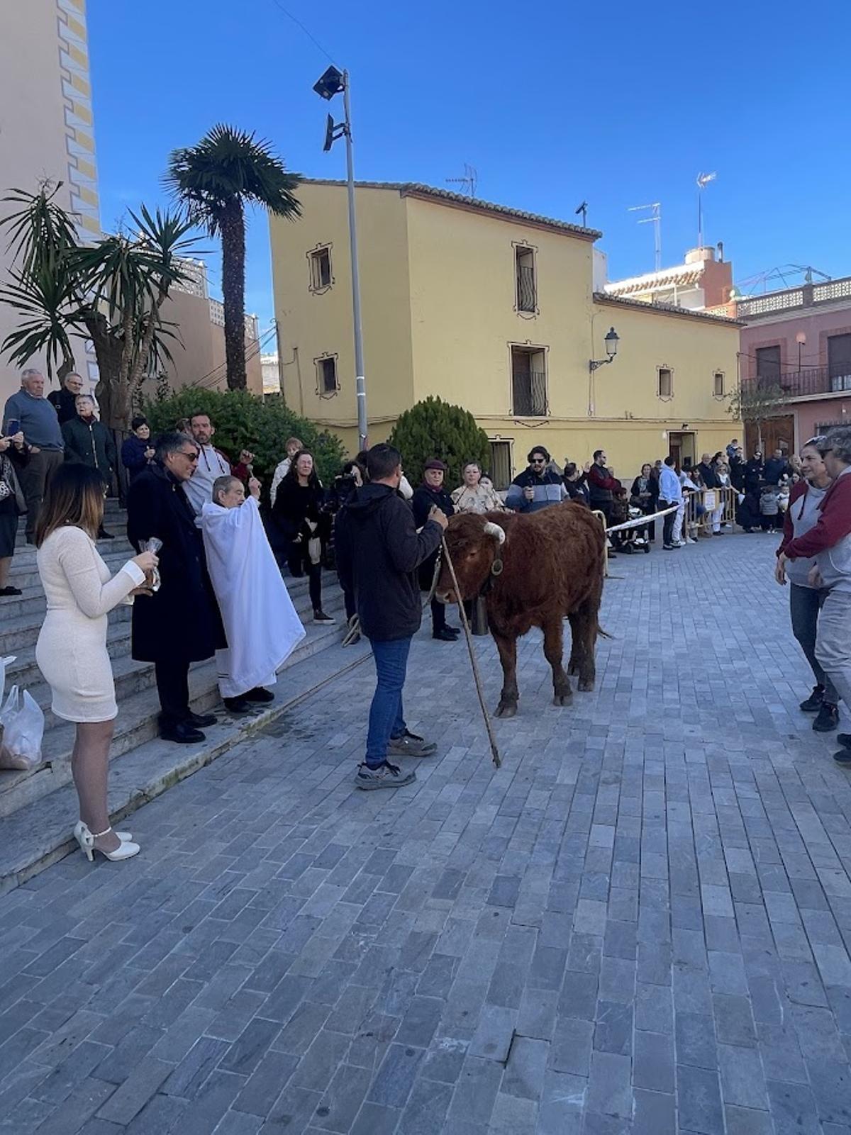Instantes de la bendición de animales.