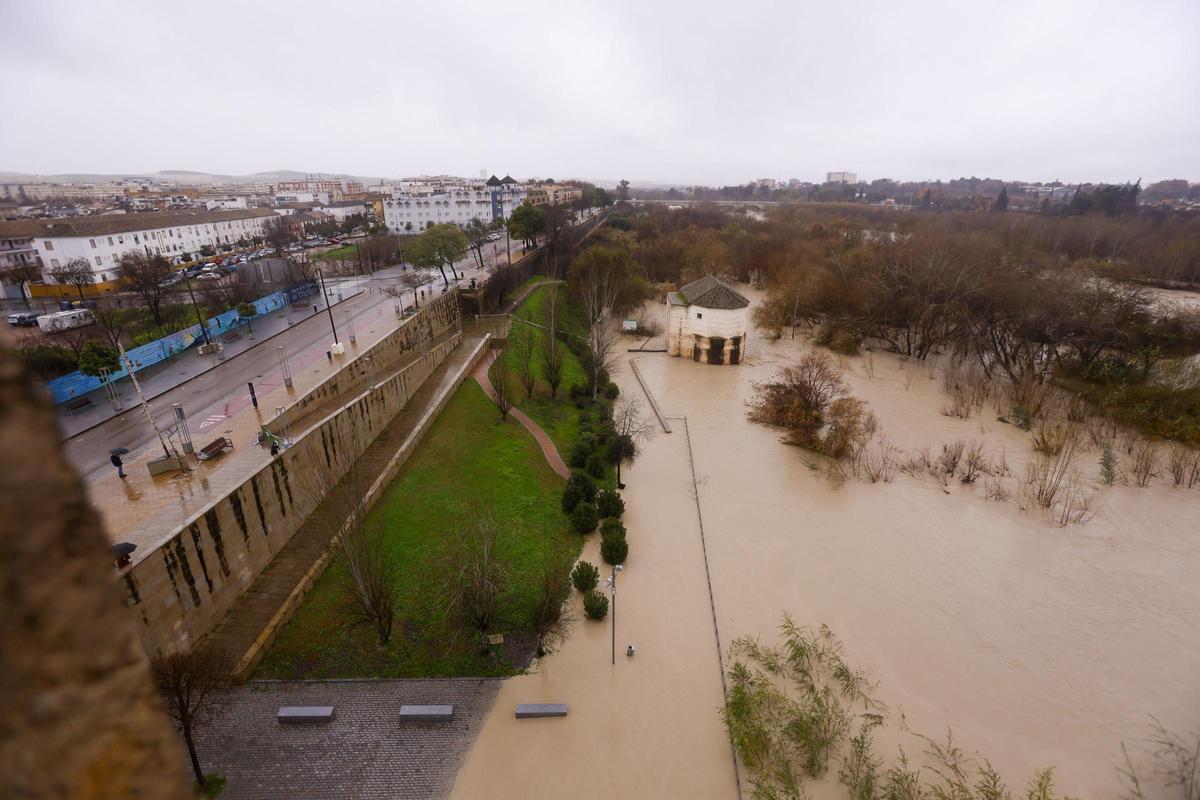 Las inundaciones afectan a más 56.000 hectáreas de terreno y casi 2.000 fincas andaluzas