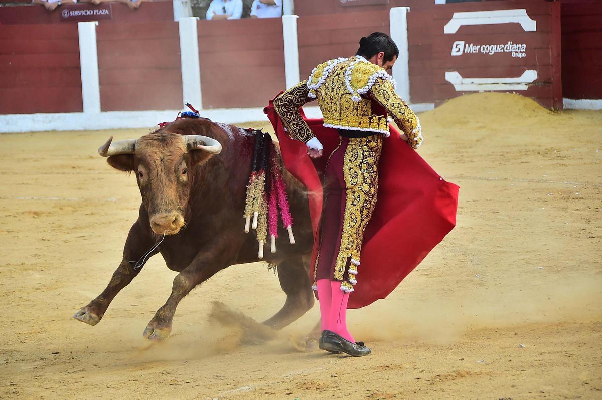 Fotogalería | Las imágenes de la corrida grande de la feria de Plasencia