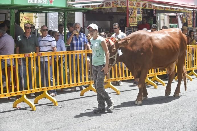 ENTREGA PREMIOS FERIA DE GANADO Y PROCESION ...