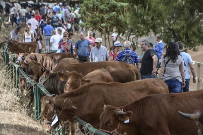 FIESTAS DE VALLESECO