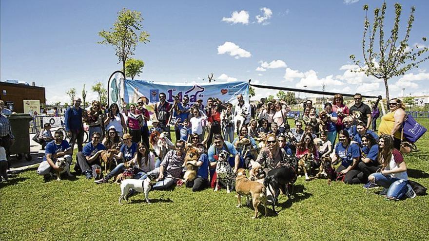 Día de sol y río con las mascotas en Badajoz