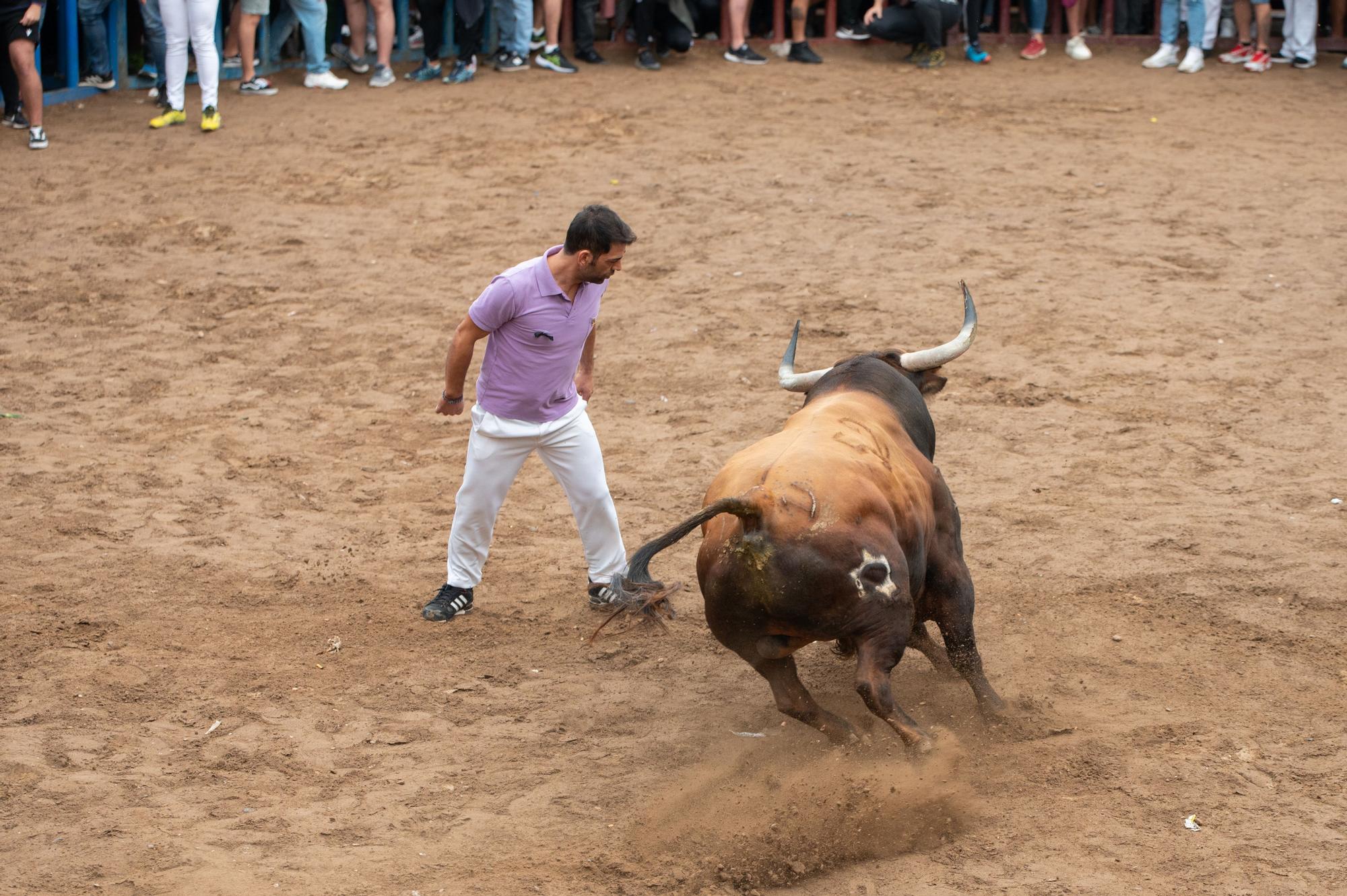 Las fotos de una tarde taurina de Almassora de luto y pasada por agua