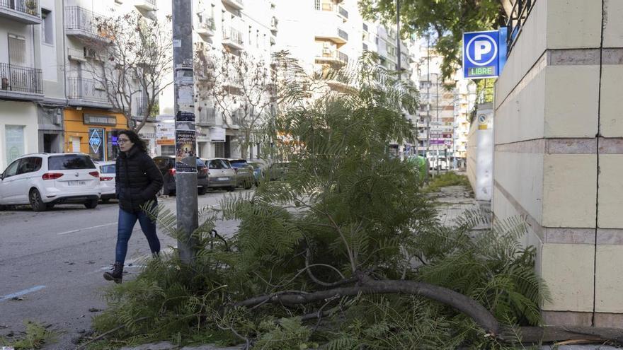 El temporal causa estragos en Xàtiva