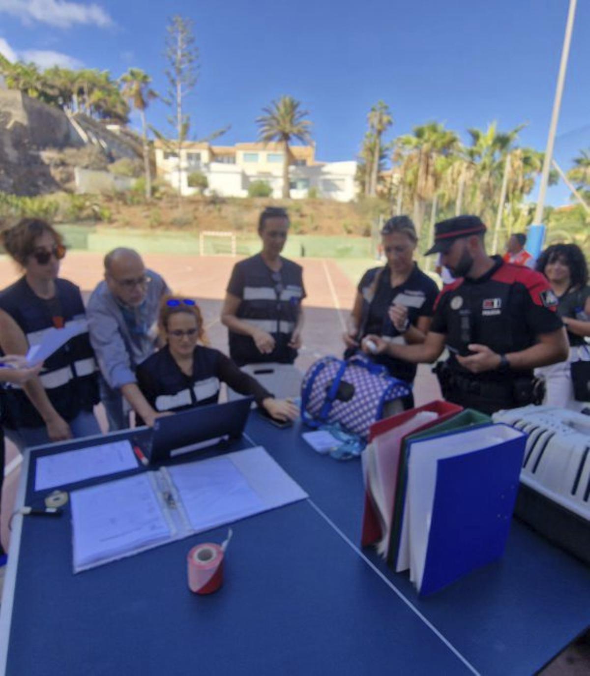 Veterinarios tinerfeños, durante el simulacro que tuvo lugar recientemente en Garachico. | ED/LOT