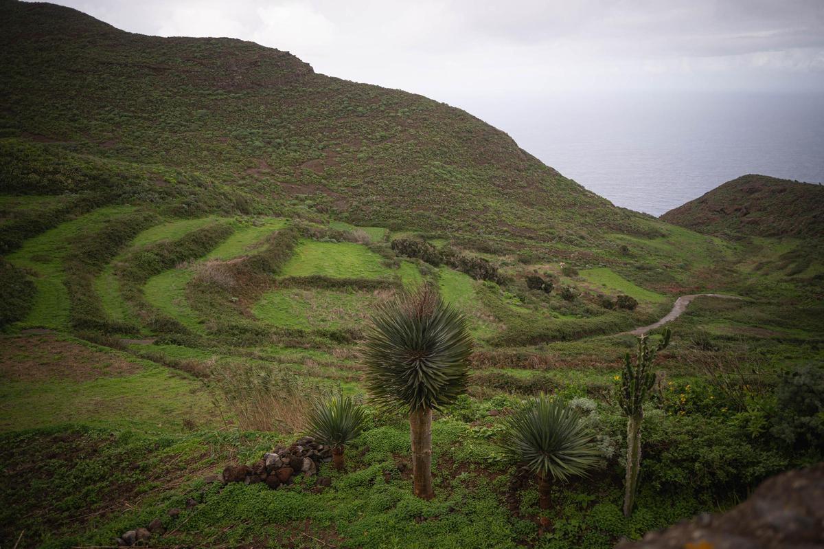 Caserío de Chinamada, en Anaga