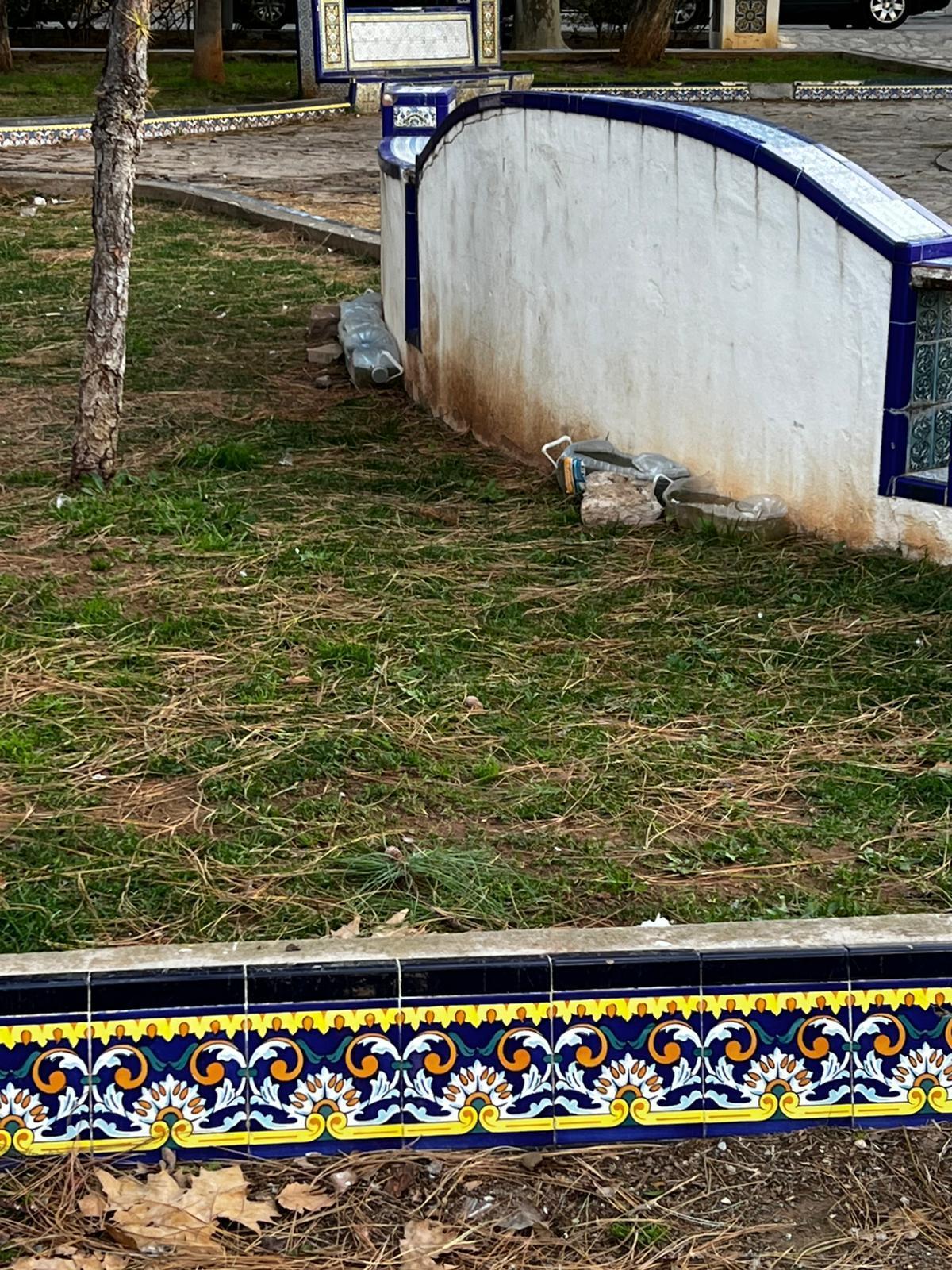 Fotogalería I Las palomas y tórtolas 'toman' el emblemático jardín de Sant Pasqual de Vila-real