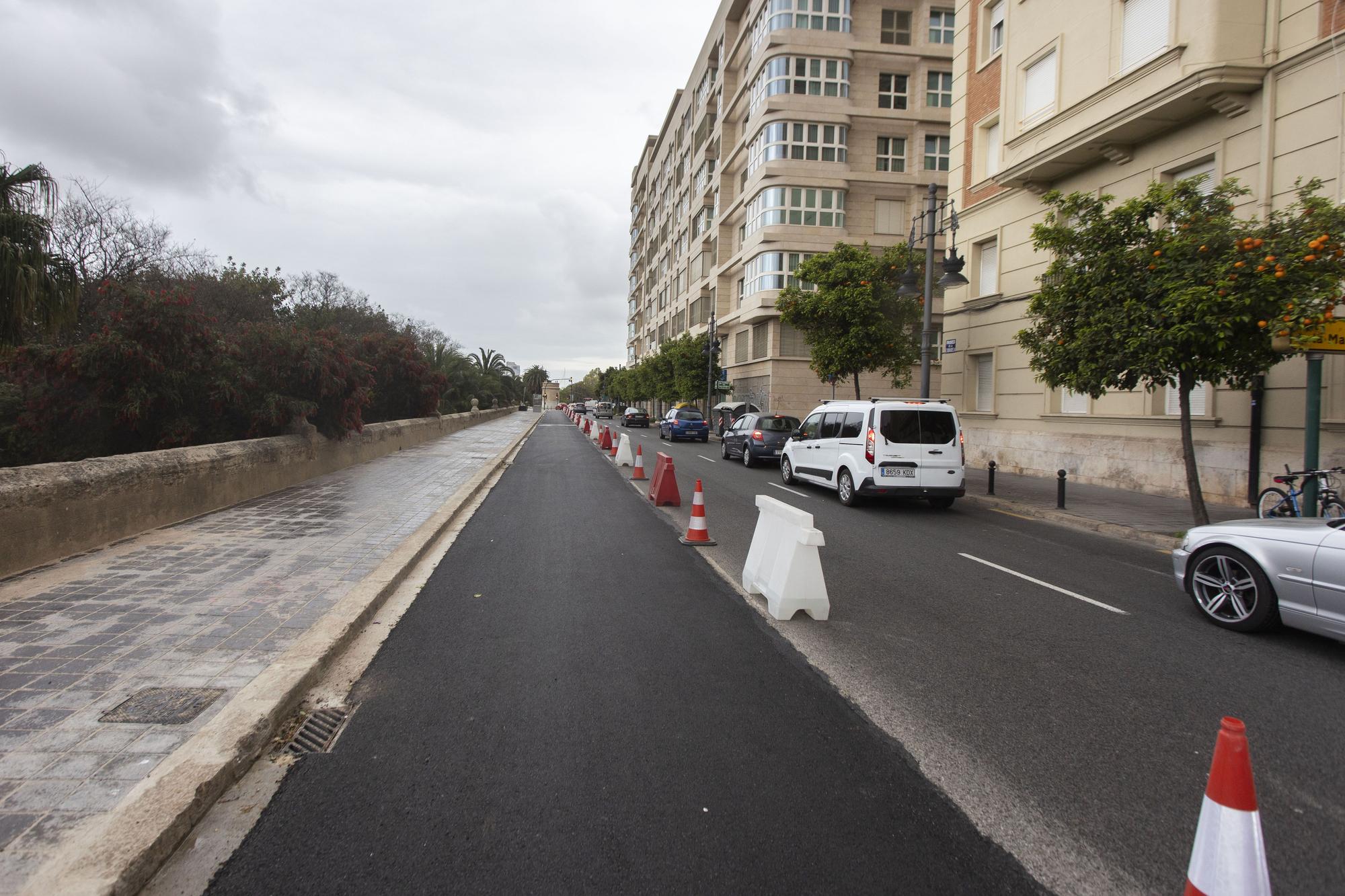 Así están las obras del nuevo carril bici del Paseo de la Ciutadela