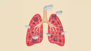 Descubren una fuerte relación entre el cáncer de pulmón y la contaminación del aire en personas que no fuman