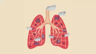 Un millar de muertes al año en la provincia de Alicante por la contaminación