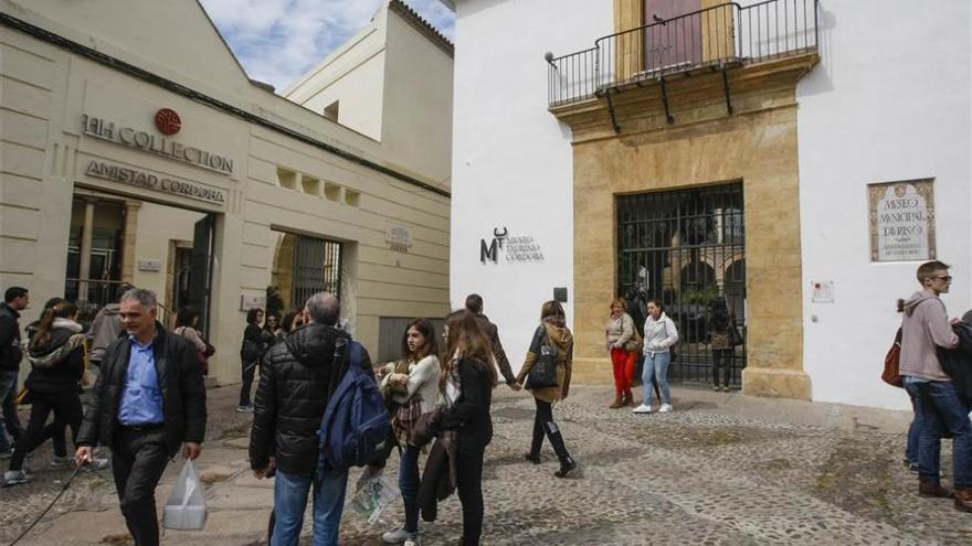 La exposición ‘La Piel del Toro Islero’ ha recibido más de 22.000 visitas en el Museo Taurino de Córdoba