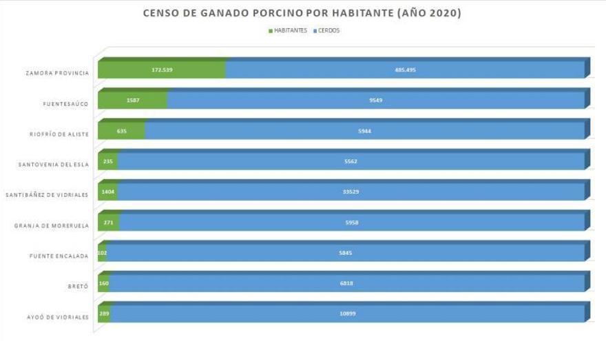 Ganado porcino en una explotación de la provincia de Zamora.| |   LOZ