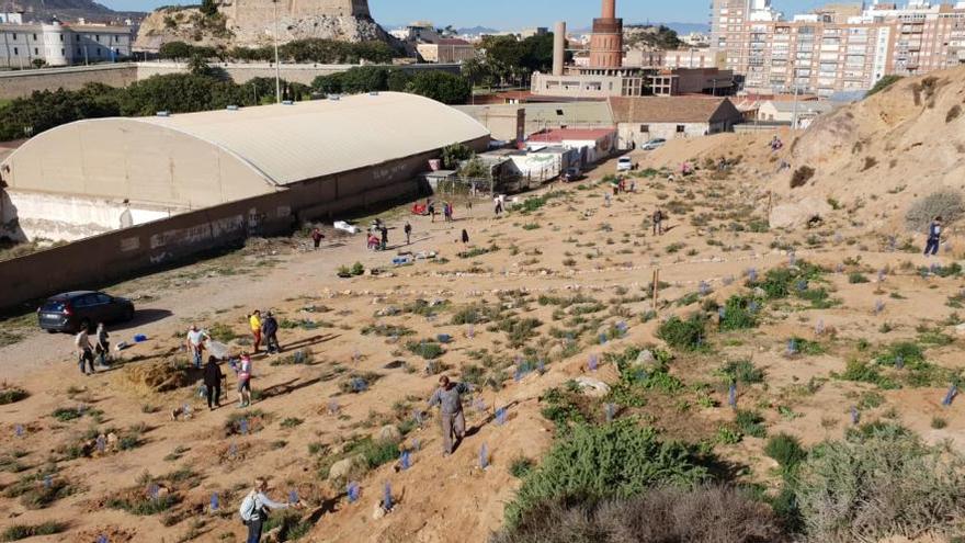 El PP critica una reforestación en Alumbres