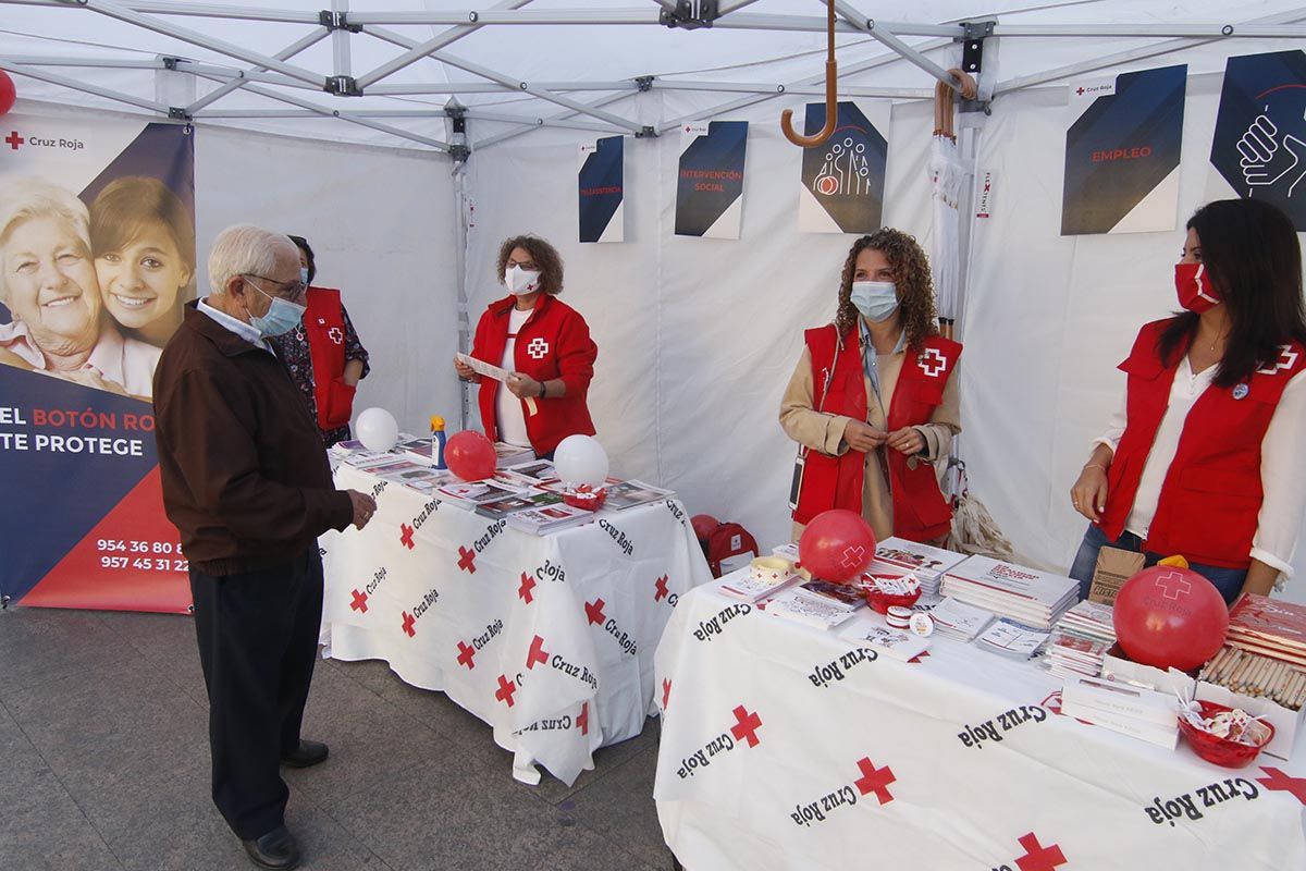 El Día de la Banderita de Cruz Roja vuelve a las calles de Córdoba